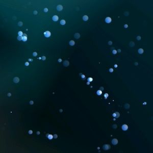 Meet your Posher, Mimi